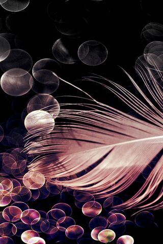 Whispers of Light: The Bokeh Feather