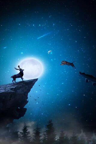 Leap into the Unknown 🌌🐾