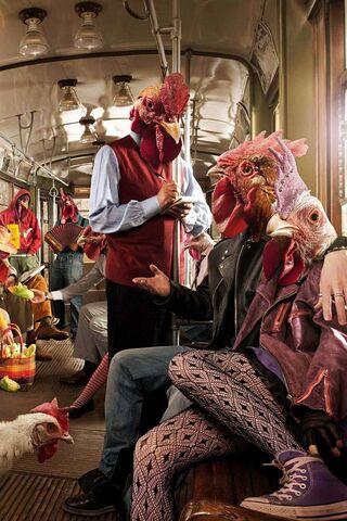 Cluckin' Around: A Feathered Commute 🐔🚇