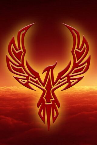 Rising from the Ashes: The Phoenix Awakens 🌅🔥