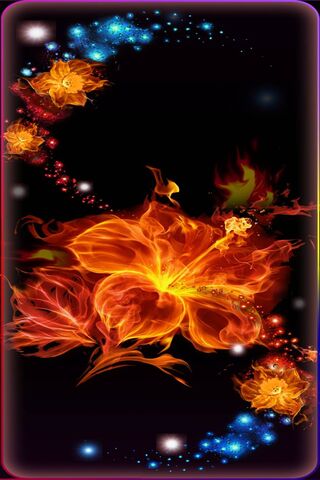 Flaming Hibiscus