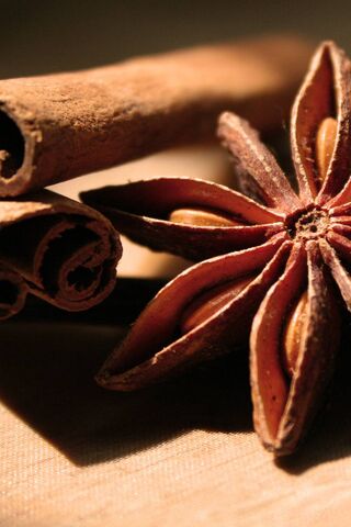 Cinnamon Dreams: A Spice of Warmth and Flavor 🌟