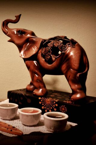 Majestic Elephant: A Symbol of Wisdom and Strength 🐘✨