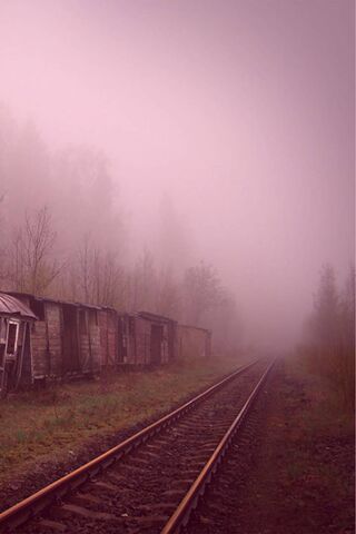 Whispers of the Forgotten Tracks 🚂🌫️