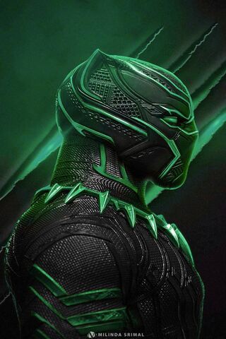 Emerald Guardian: The P..