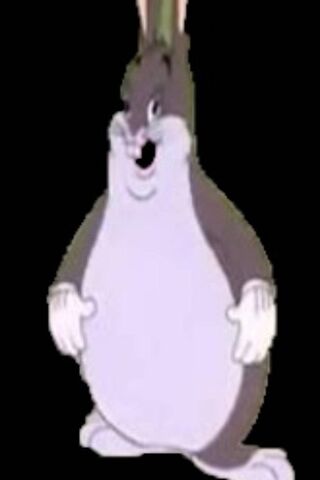 Chungus Chungus