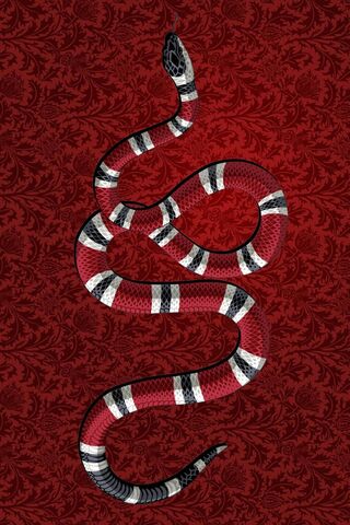 21gucci Snake