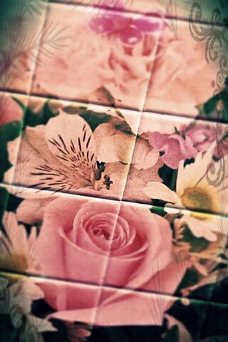 Floral Elegance Underfoot 🌸✨