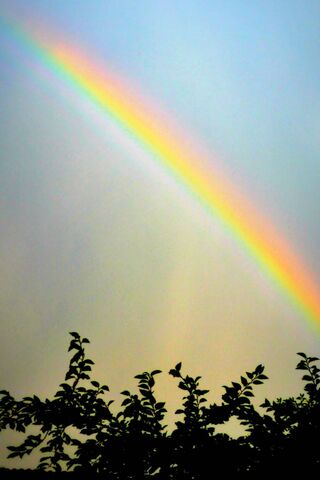 Chasing Rainbows 🌈✨