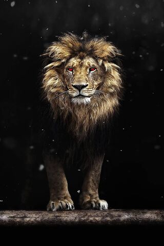 狮王