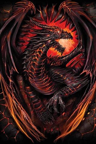 Dragon Fire