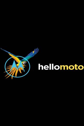 Hello Moto: A Vibrant Welcome to the Moto G5!