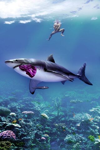 Shark Encounter: A Dive into the Deep Blue 🌊🦈