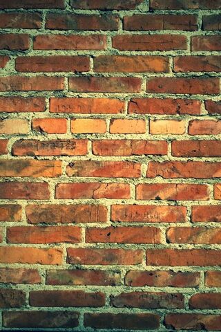 Timeless Charm of Rustic Brick Walls 🧱✨