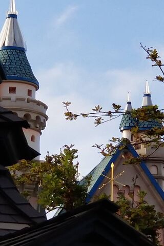 Enchanted Towers of Disneyland 🏰✨