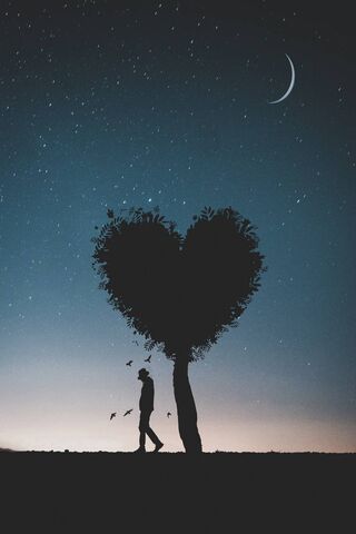 Whispers of Love Under the Stars 🌌❤️
