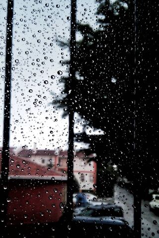Whispers of Rain: A Win..