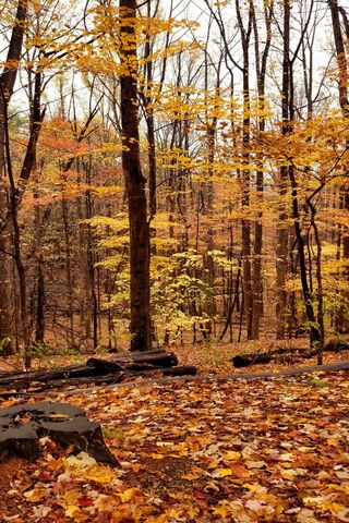 Cades Cove