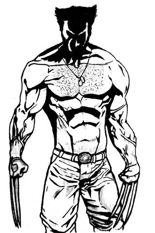 Wolverine: The Fierce Hero Unleashed! 🐾