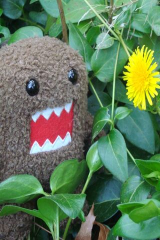 Nature's Curiosity: A Plush Adventure 🌼🧸