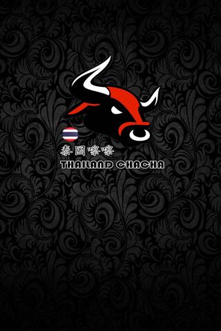 Thailand Chacha: A Bold Cultural Fusion 🇹🇭🐂