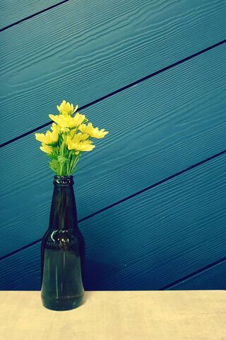 Blooming Against the Blues 🌼💙