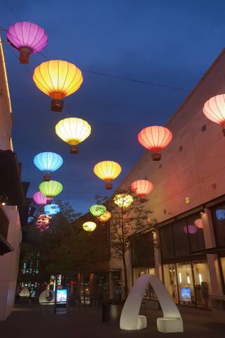 Colourful Balloons