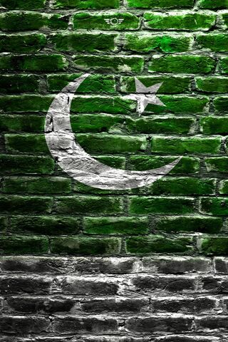 Pride of the Green: The Pakistani Flag