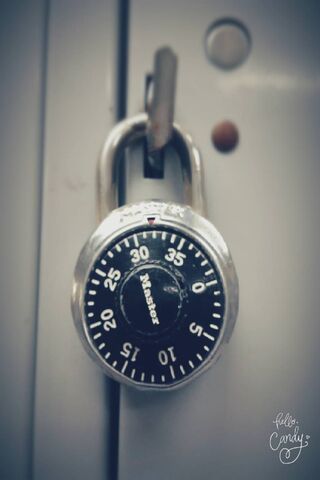 Secure Your Gains: The Gym Lock