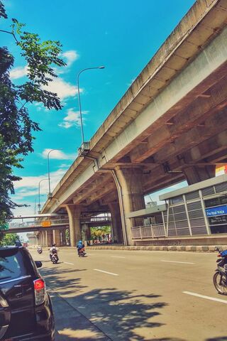 Beneath the Urban Canopy 🌆