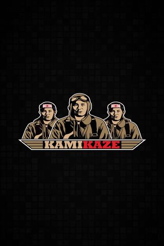 Kamikaze: The Spirit of Fearless Flight ✈️🔥