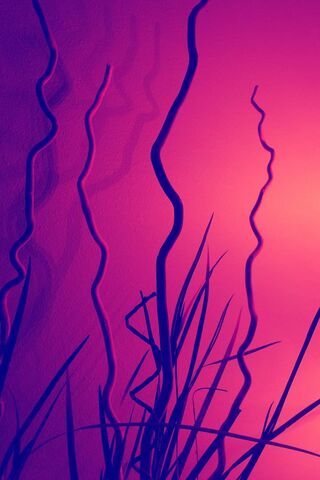 Vibrant Waves of Light 🌈✨