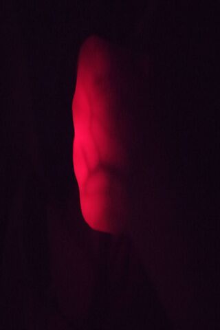 Crimson Currents: The Art of Veins