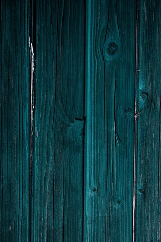 Mystical Teal Wood Texture