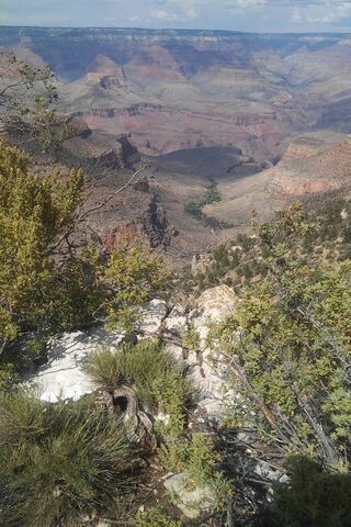Majestic Depths of the Grand Canyon 🌄