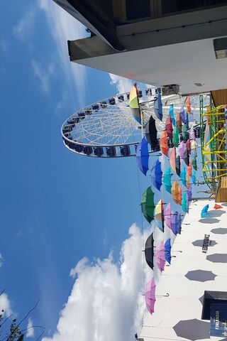 Colorful Canopy: A Day Under Umbrellas ☂️🌈