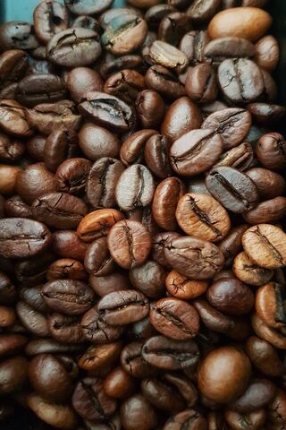 Aromatic Treasures: The World of Coffee Beans ☕️✨