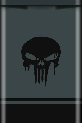 Shadowed Vengeance: The Sleek Punisher