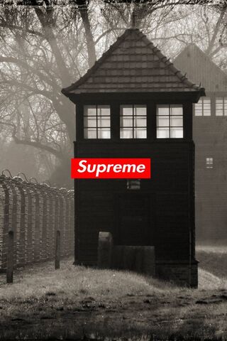 Echoes of the Past: Supreme Reflections