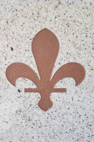 The Elegant Fleur-de-Lis: A Symbol of Heritage 🌸
