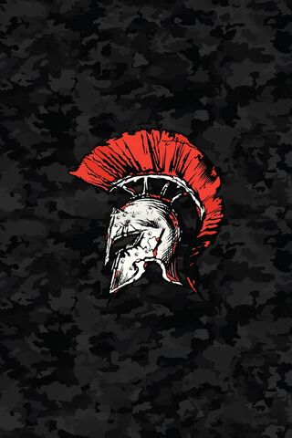 Spartan Warrior