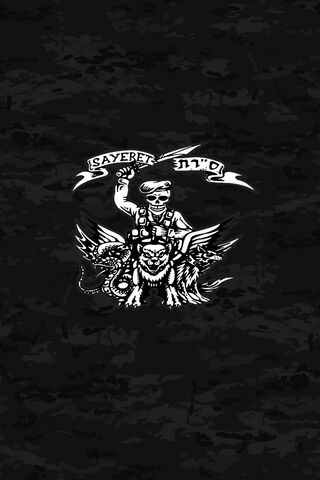 The Valor of Sayeret Matkal 🇮🇱