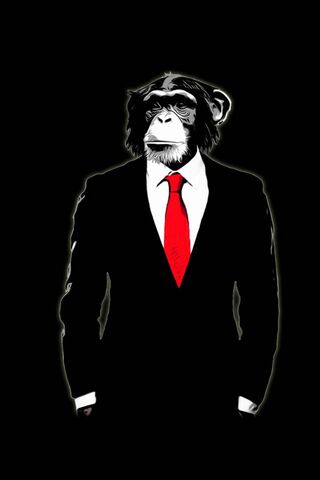 Dapper Primate: The Monkey in Style 🐒✨