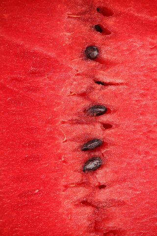 Juicy Delight: The Heart of Watermelon 🍉