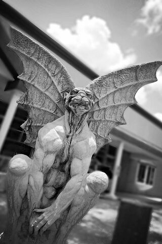 Guardian of Shadows: The Gargoyle's Watch