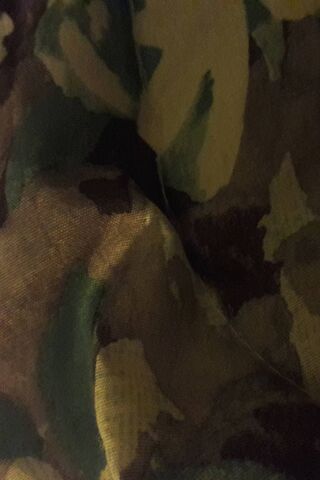 Whispers of Lovers Lane 🌿❤️