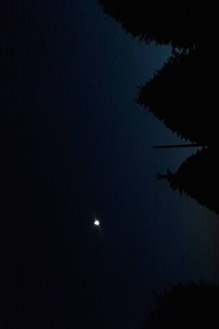Moonlit Serenity 🌙✨