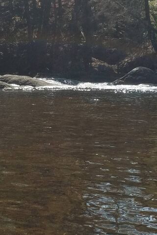 Whispering Falls
