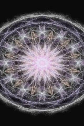 Whirling Wonders: The Feathered Wheel of Light