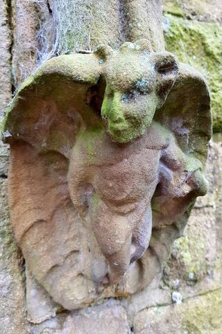 Mystical Guardian: The Gargoyle Zk 🦇✨